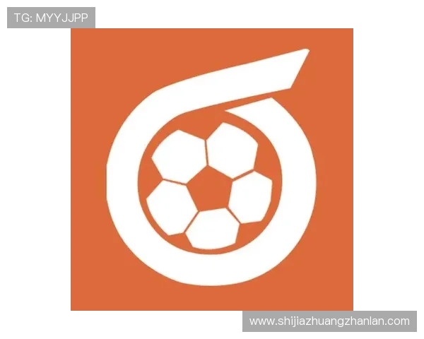 华体会中国站官网全面解析体育娱乐最新动态与官方资讯