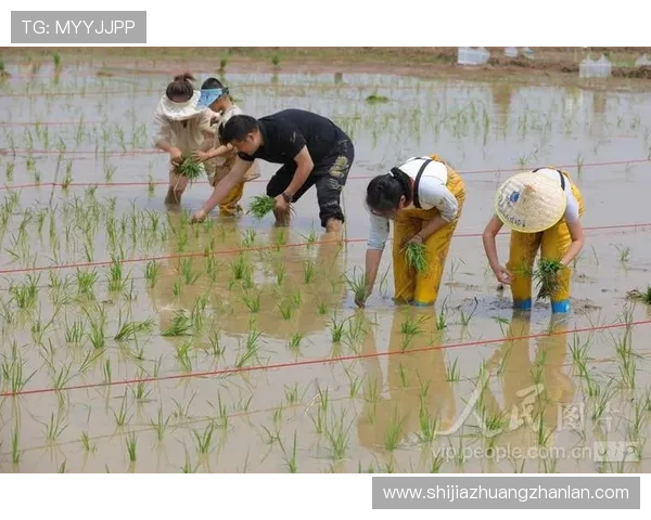 华体会电脑版官网最新版本下载,支持多设备同步操作与账号管理 华体会电脑版官网最新版本下载,支持多设备同步操作与账号管理
