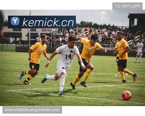 华体汇hth官网提供的丰富体育赛事直播和投注服务详解